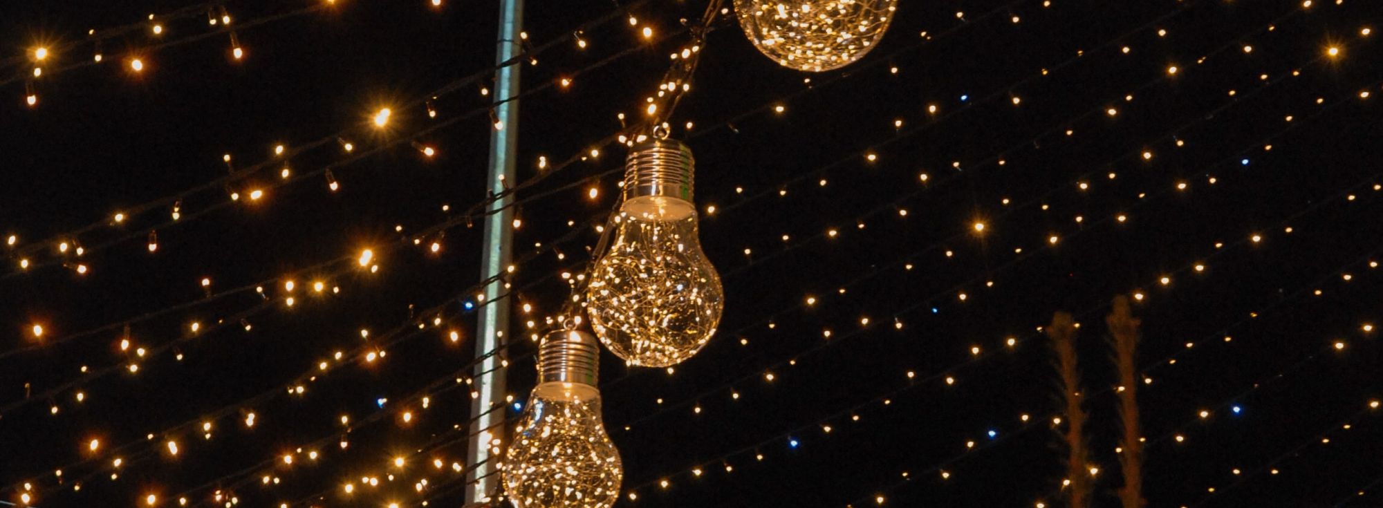 Christmas lights turn on Bloom Stays