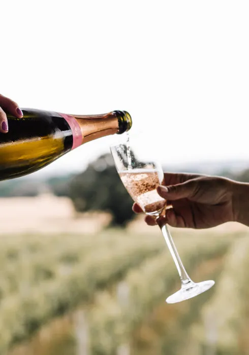 Vineyard wine tasting