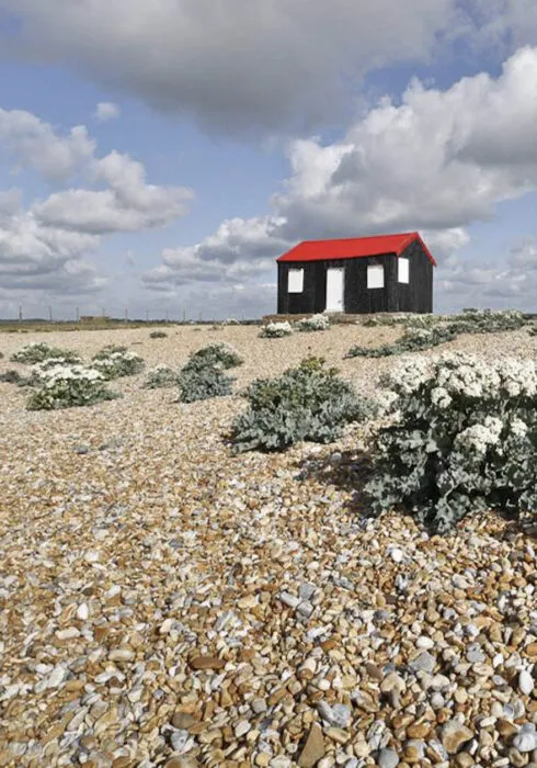 Rye Nature Reserve