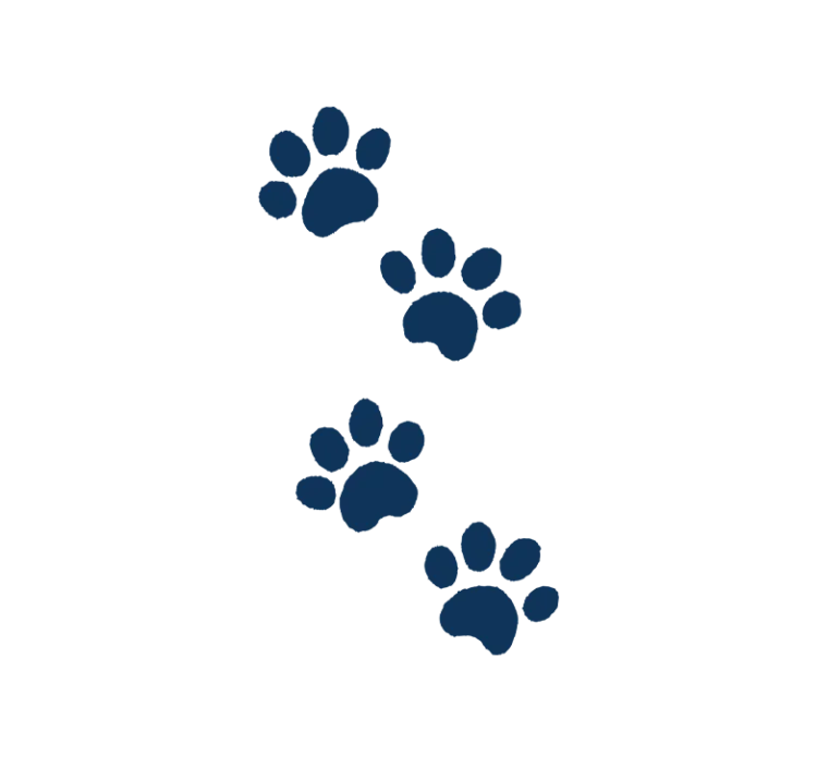 dog paw prints illustration