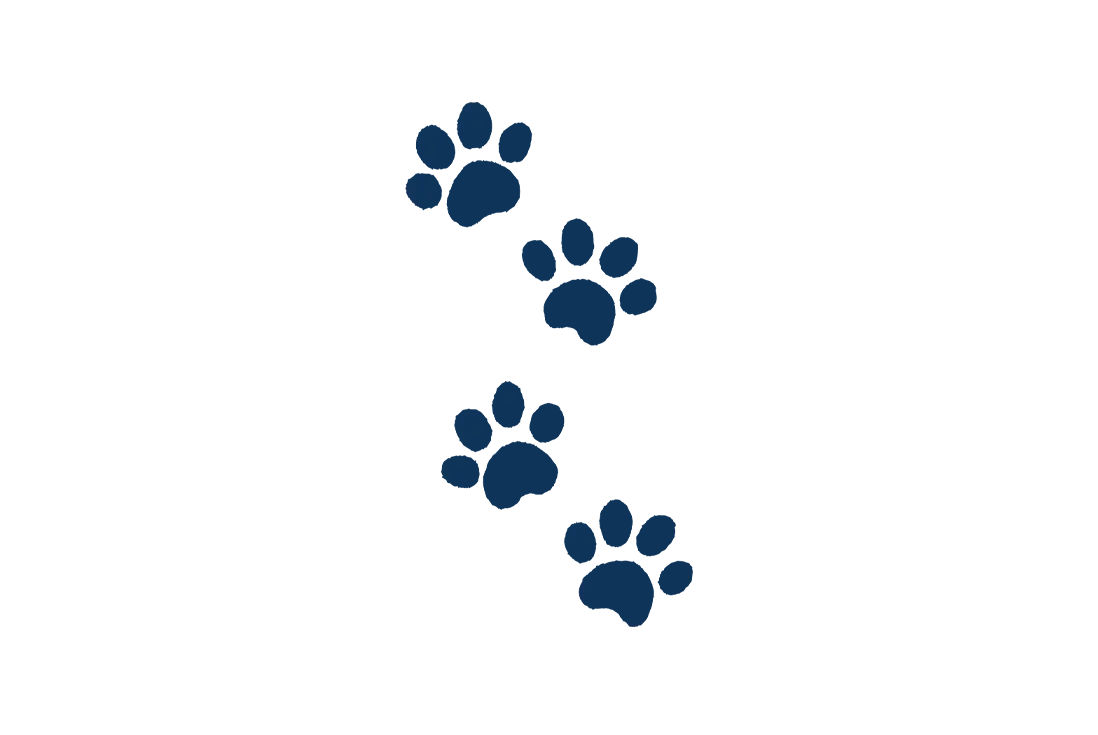 dog paw prints illustration