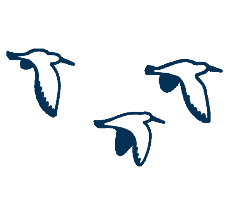 An illustration of 3 birds flying