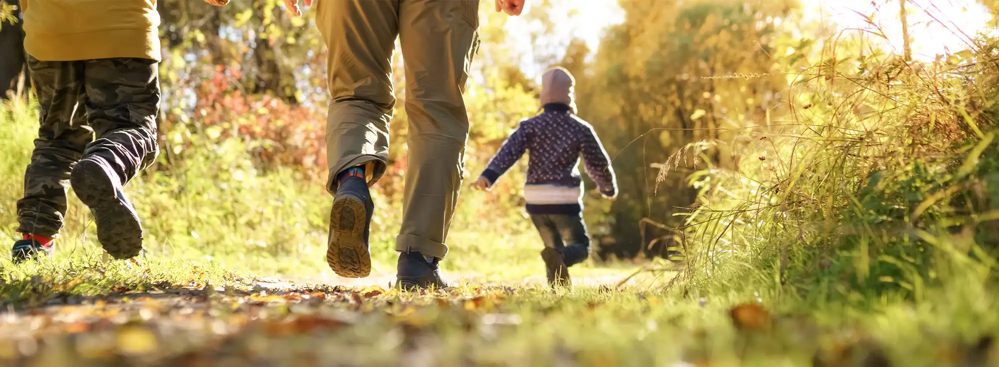 kids activities in october half term