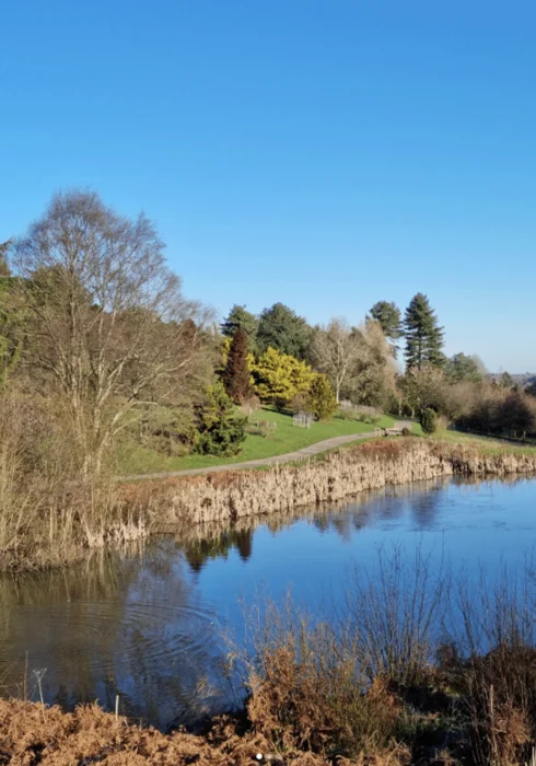 Bedgebury Forrest, Kent a great place for walking, cycling or hiking.