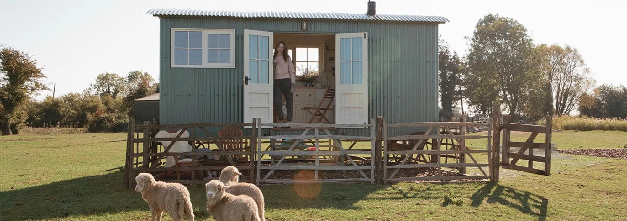 Lambs at Romney Marsh Shepherd's Huts