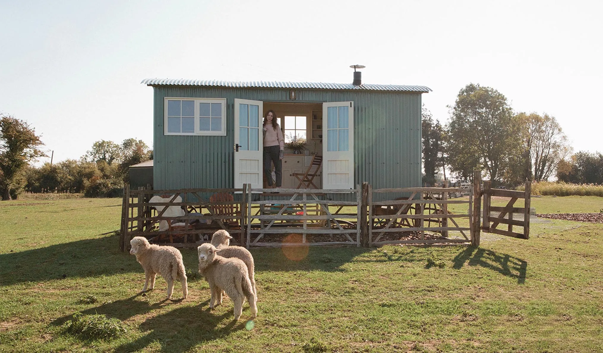 Lambs at Romney Marsh Shepherd's Huts
