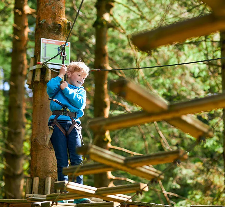 go ape at bedgebury with kids