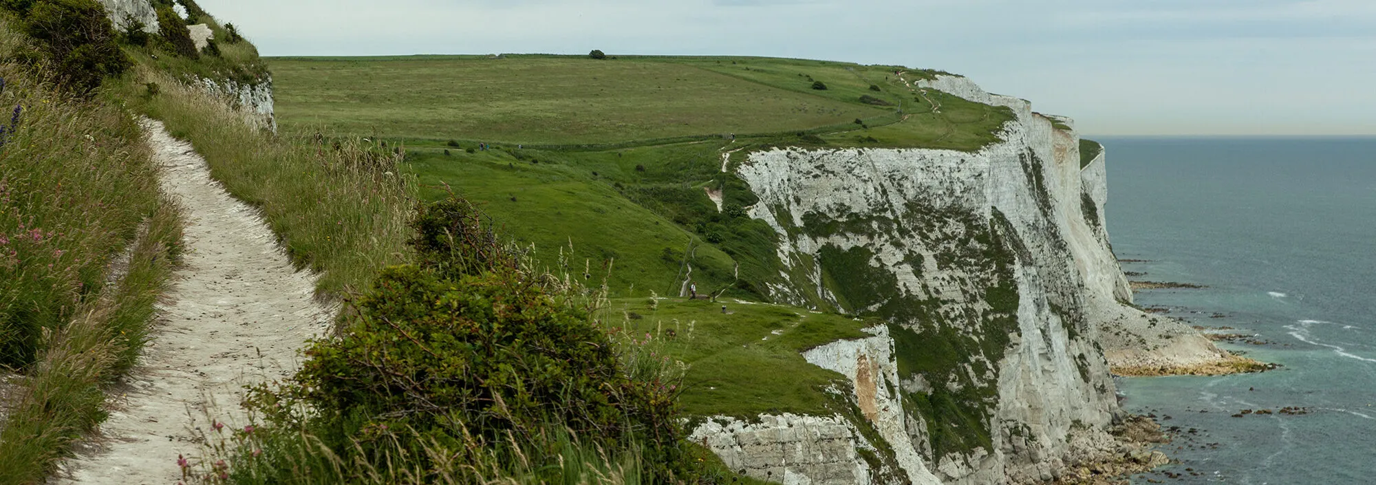 Coastal path with the white cliffs of St Margaret's Bay and the sea below