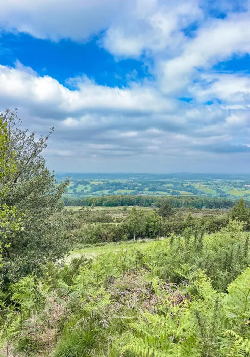 A view of the Sussex countryside from Ashdown Forest, Sussex, UK