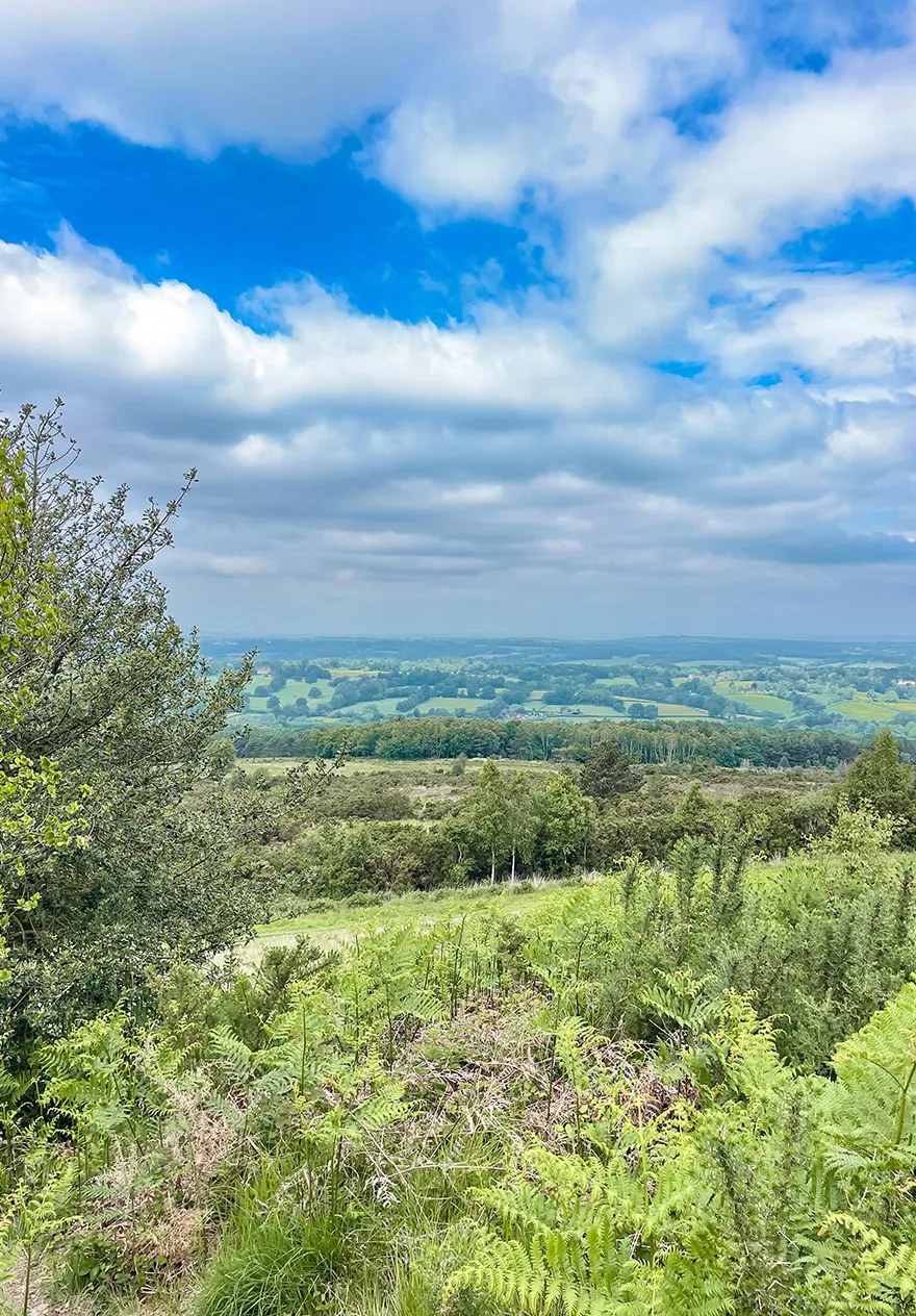 A view of the Sussex countryside from Ashdown Forest, Sussex, UK