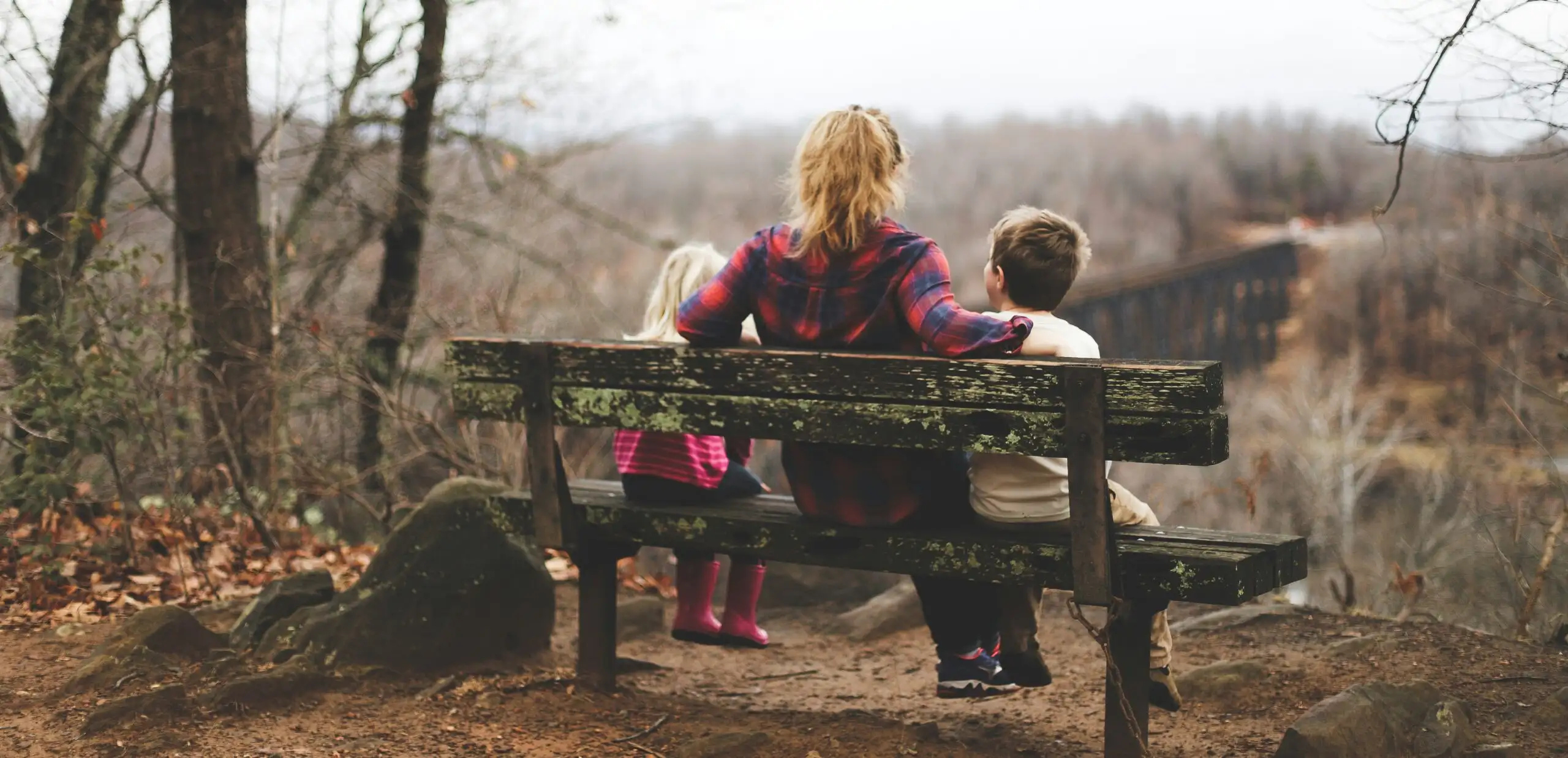 Picture shows a woman sitting with two young children on a bench, overlooking the forested area ahead of them.