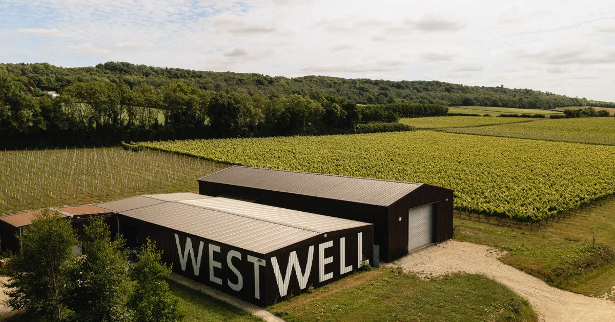 Aerial view of Westwell Wine Estates – a large building surrounded by vineyards on a sunny day.
