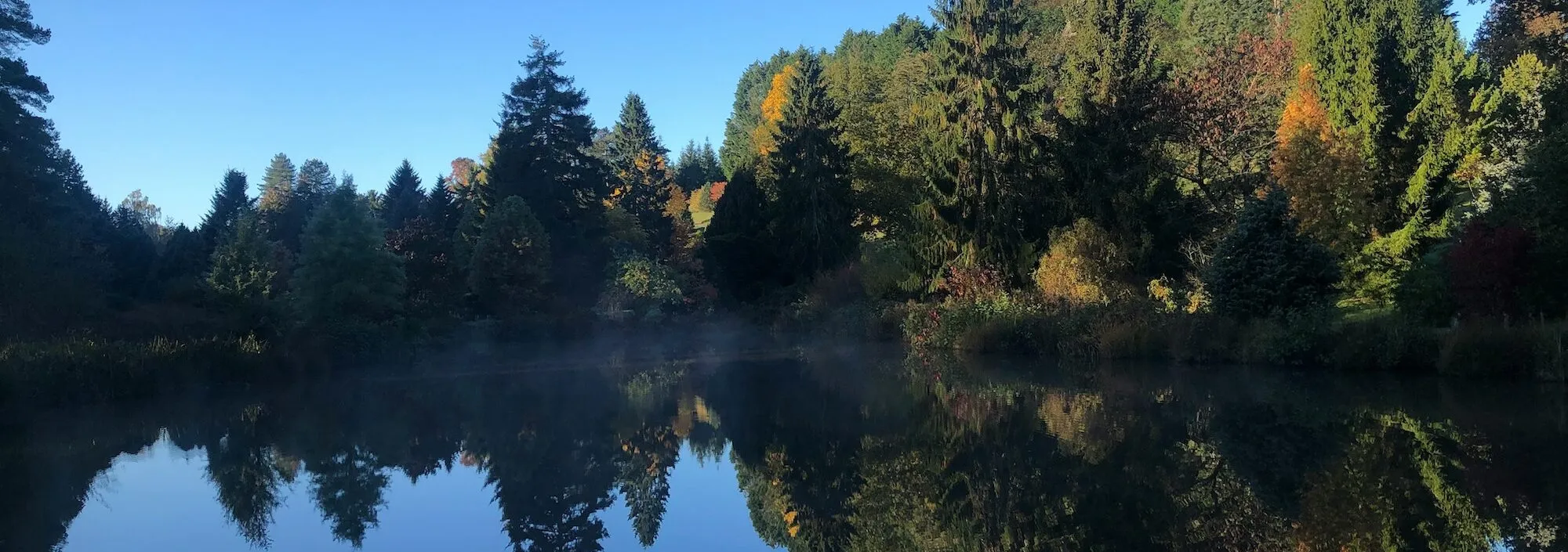 A view across the lake at Bedgebury National Pinetum & Forest | Steve Payne @ Unsplash