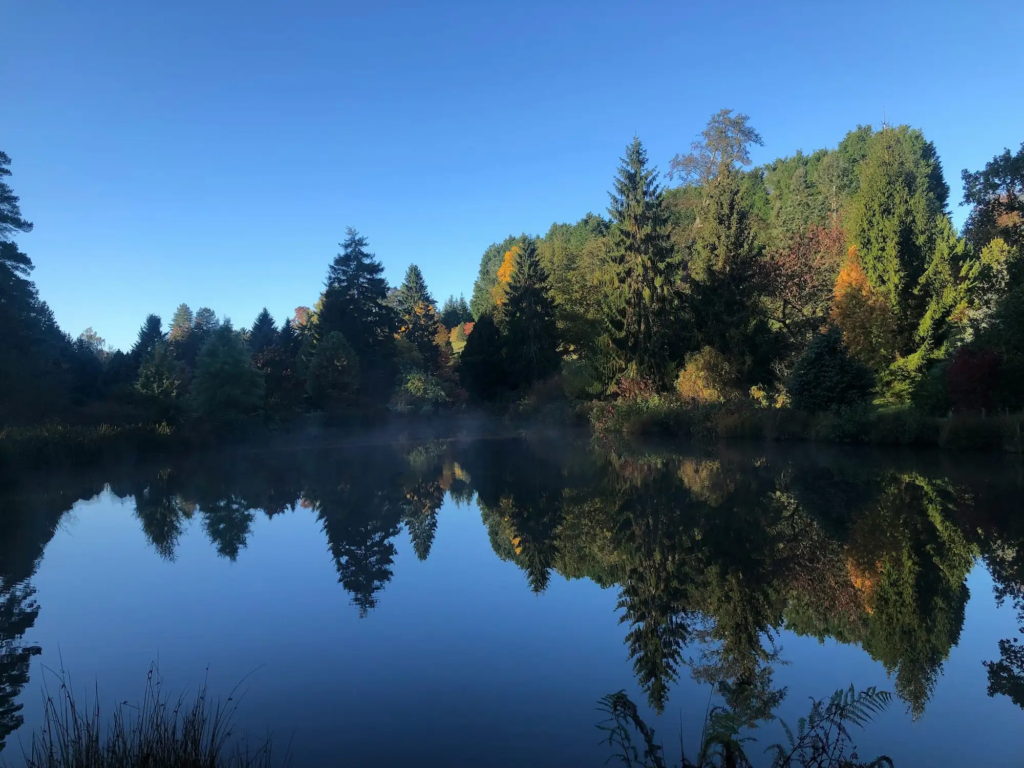 A view across the lake at Bedgebury National Pinetum & Forest | Steve Payne @ Unsplash