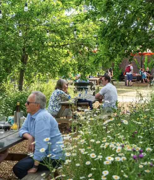 The Depot Cinema Garden, Lewes | Bloom Stays