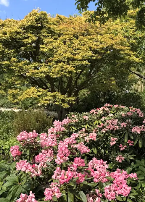Merriments Gardens, East Sussex | Bloom Stays