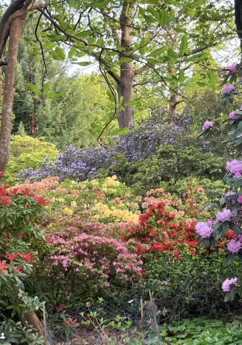 High Beeches Gardens | Gardens in West Sussex | Bloom Stays
