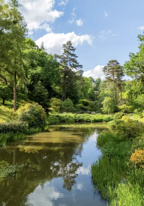 Leonardslee Gardens | Gardens in West Sussex | Bloom Stays