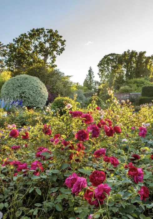 Borde Hill | Gardens in West Sussex | Bloom Stays
