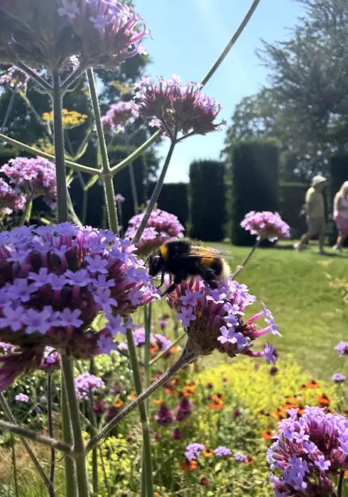 Nymans | Gardens in West Sussex | Bloom Stays