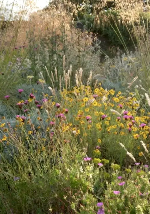 Knepp Estate | Gardens in West Sussex | Bloom Stays